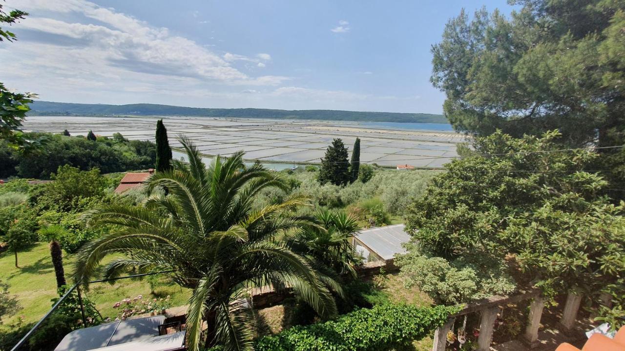 Apartment Laurus Portorož Eksteriør billede