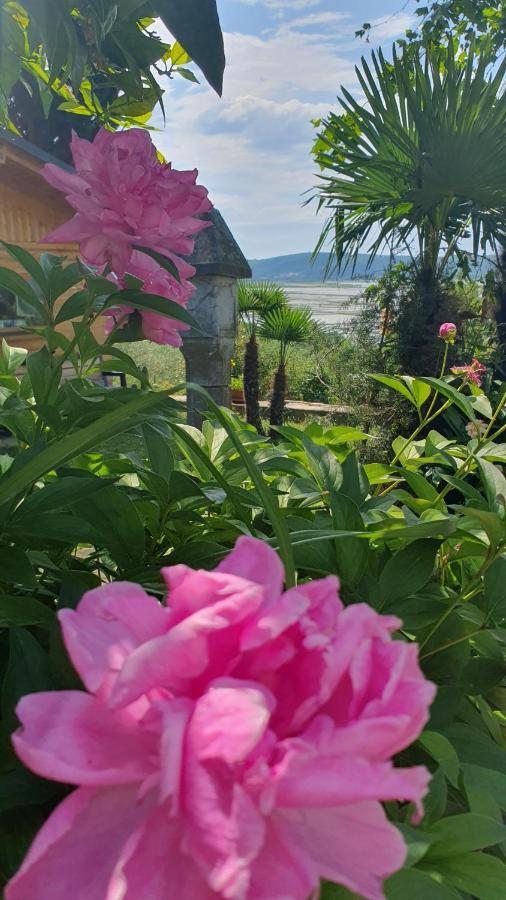 Apartment Laurus Portorož Eksteriør billede