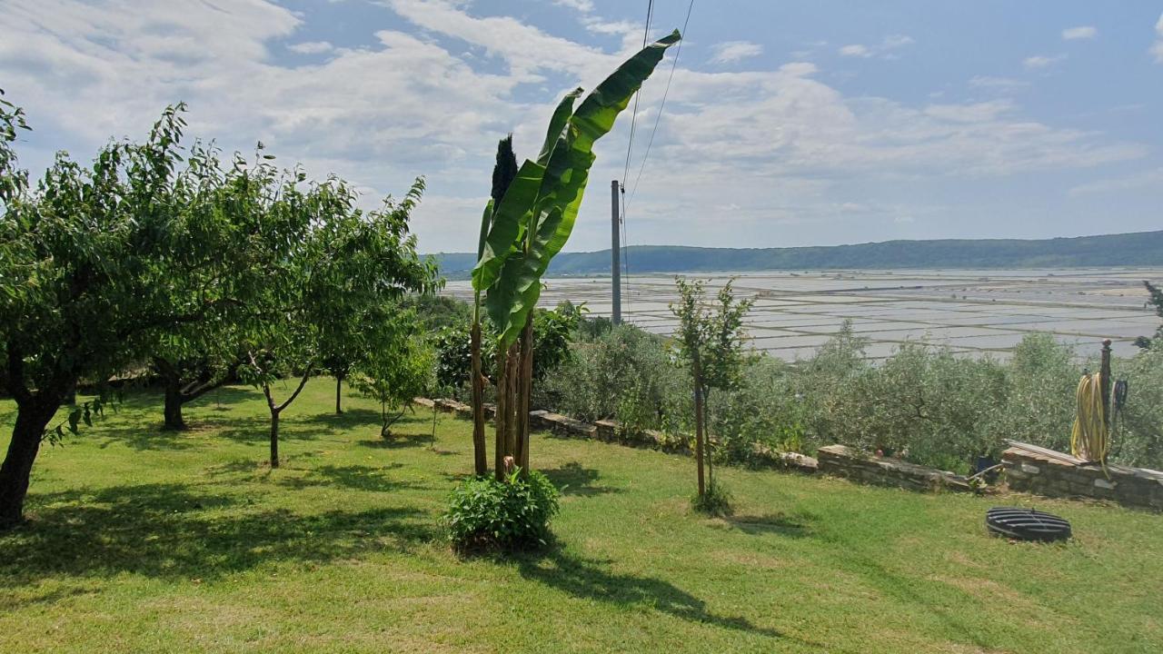 Apartment Laurus Portorož Eksteriør billede