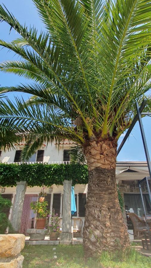 Apartment Laurus Portorož Eksteriør billede