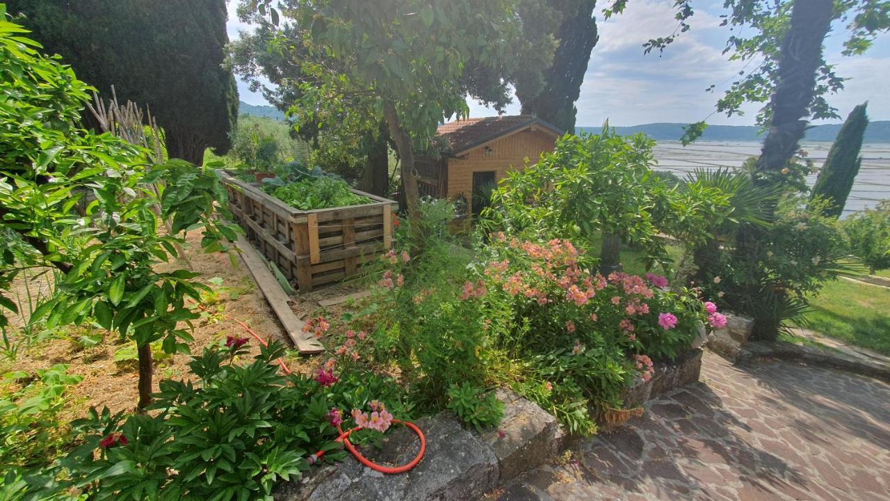 Apartment Laurus Portorož Eksteriør billede