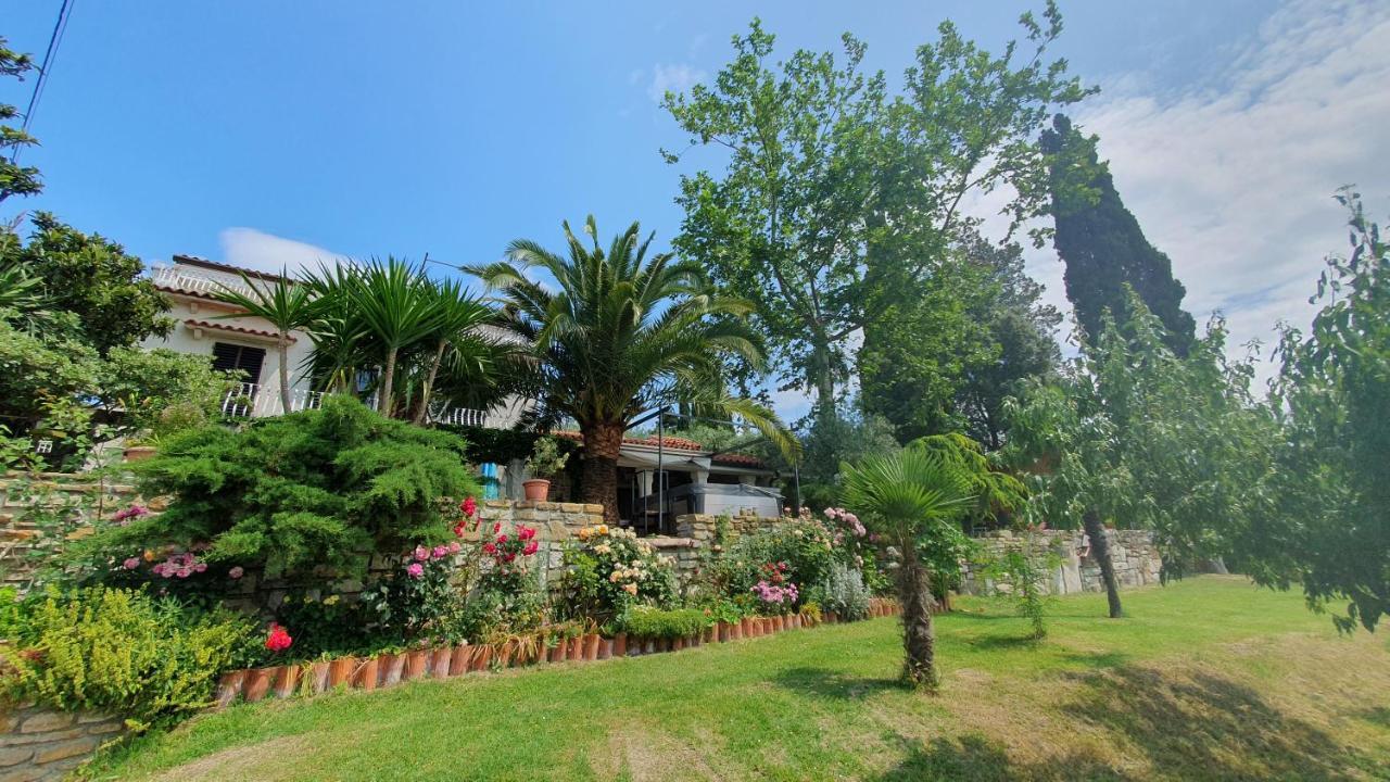 Apartment Laurus Portorož Eksteriør billede