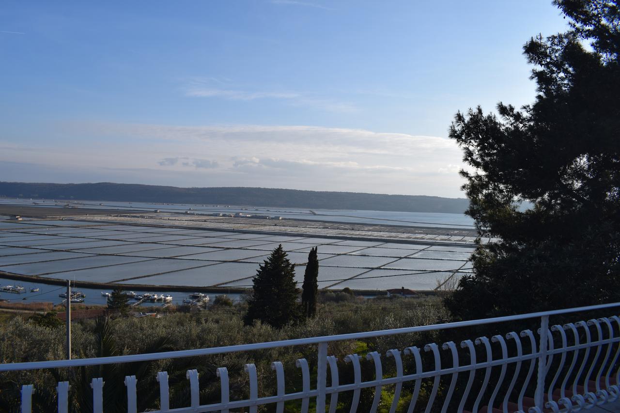 Apartment Laurus Portorož Eksteriør billede