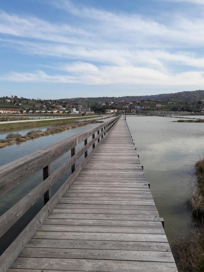 Apartment Laurus Portorož Eksteriør billede